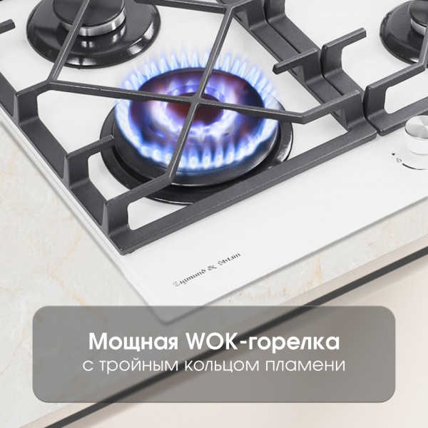 Поверхность газ на стекле Zigmund & Shtain MN 175.61 W