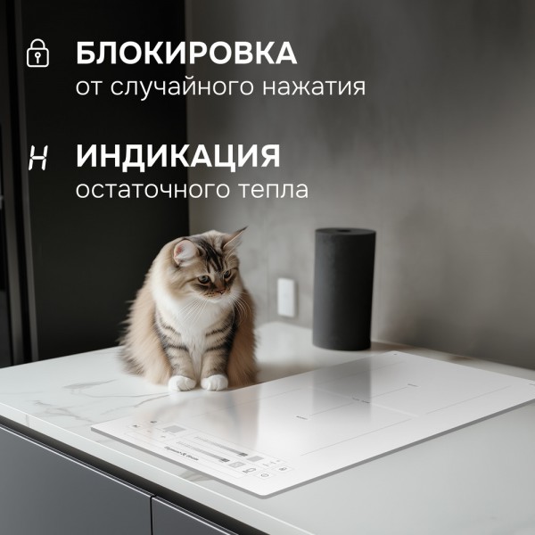 Варочная панель индукционная домино Zigmund & Shtain CI 24.3 W