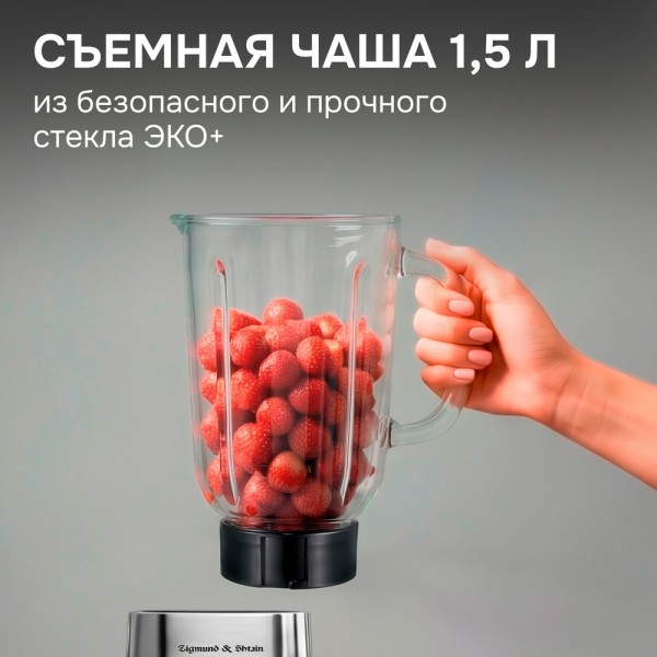 Блендер настольный Zigmund & Shtain BS-486 D