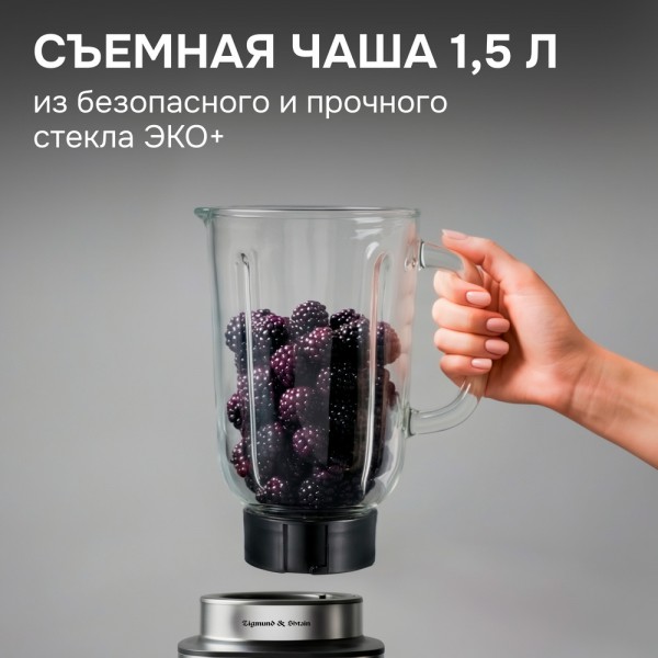 Блендер настольный Zigmund & Shtain BS-488 D